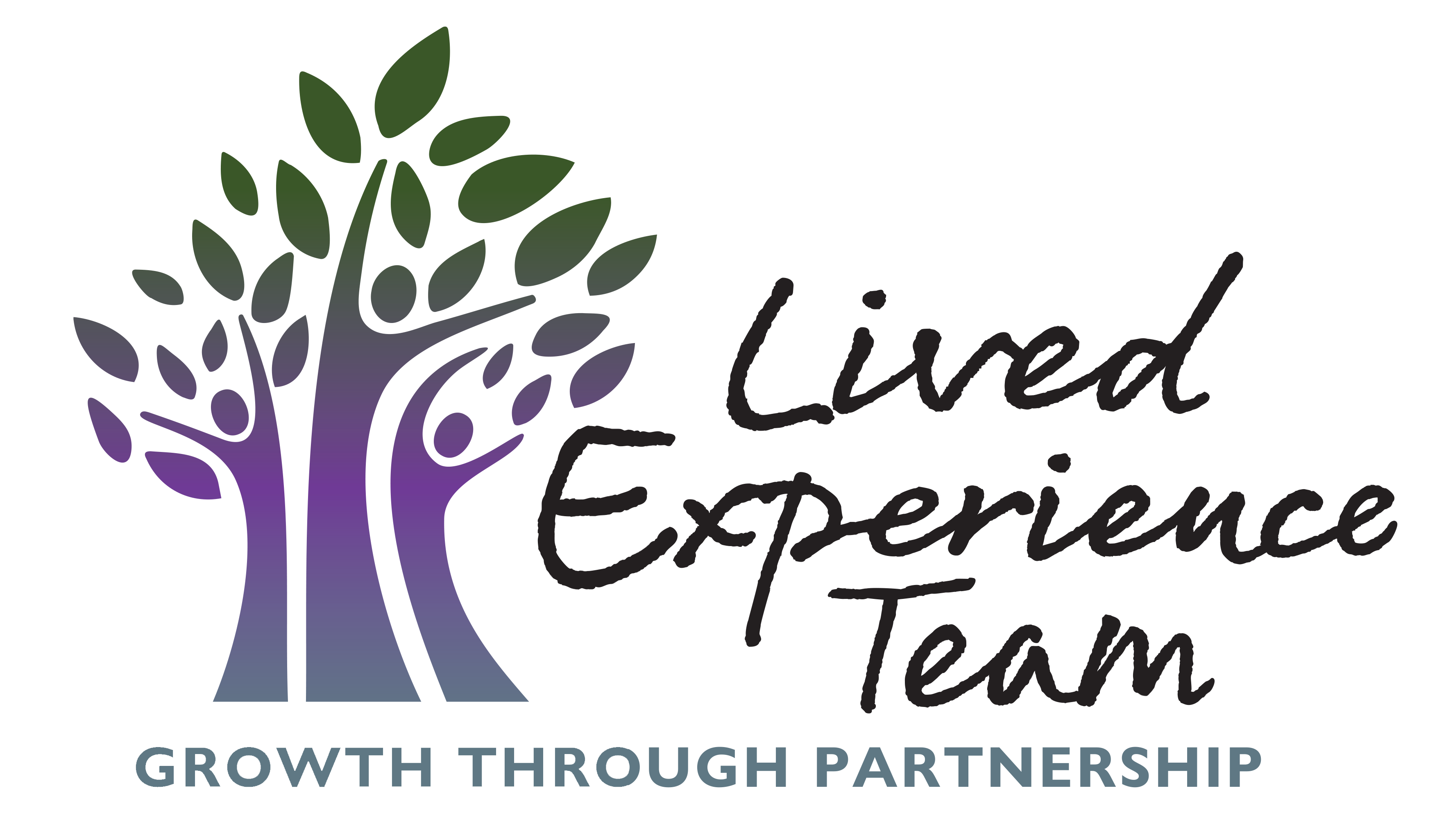 Lived Experience Team logo