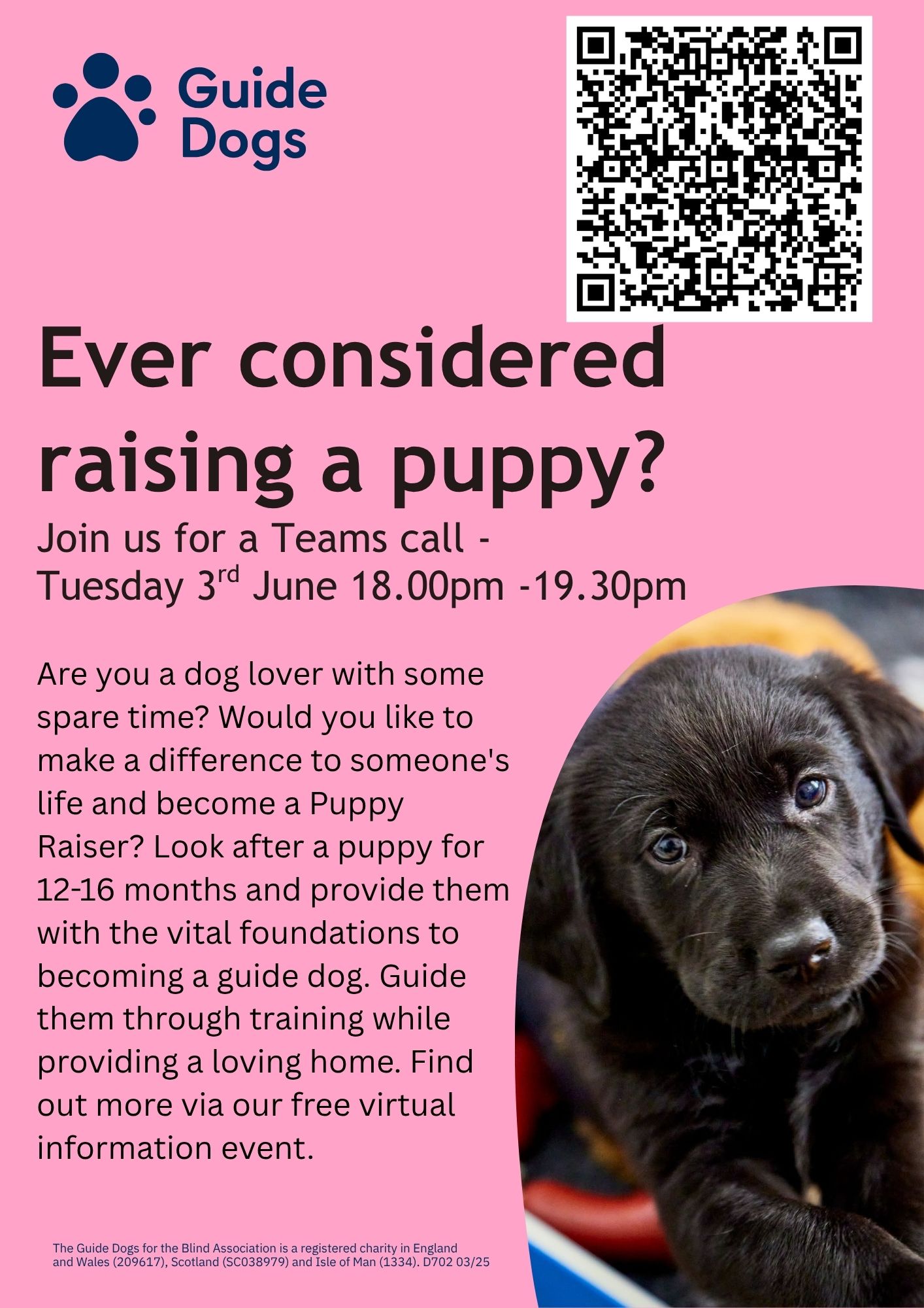 Puppy Raiser poster - North Team image