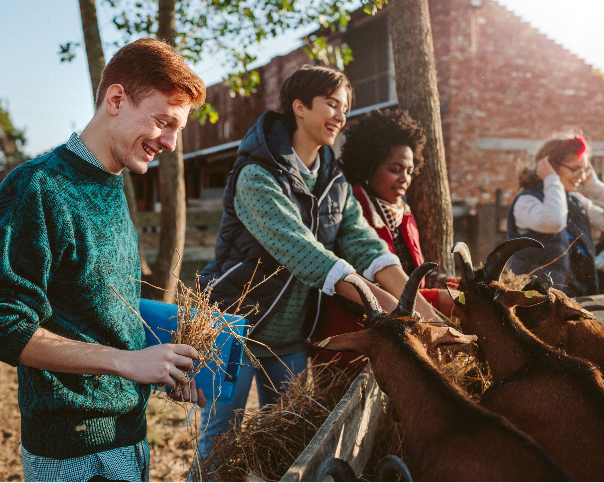 Young_Volunteers image