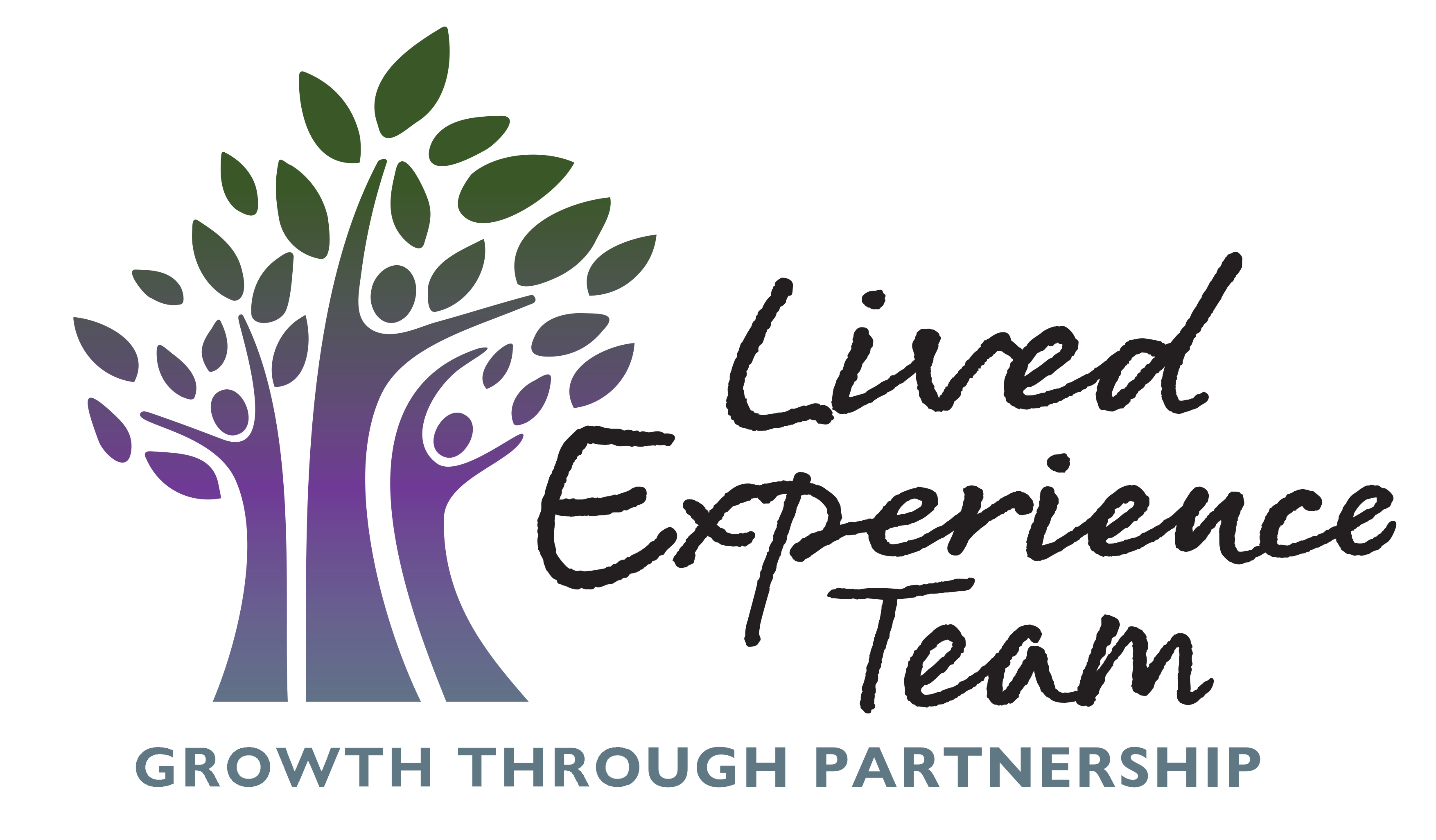 Lived Experience Team logo